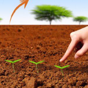 Plantas e Estratégias de Logística Sustentável