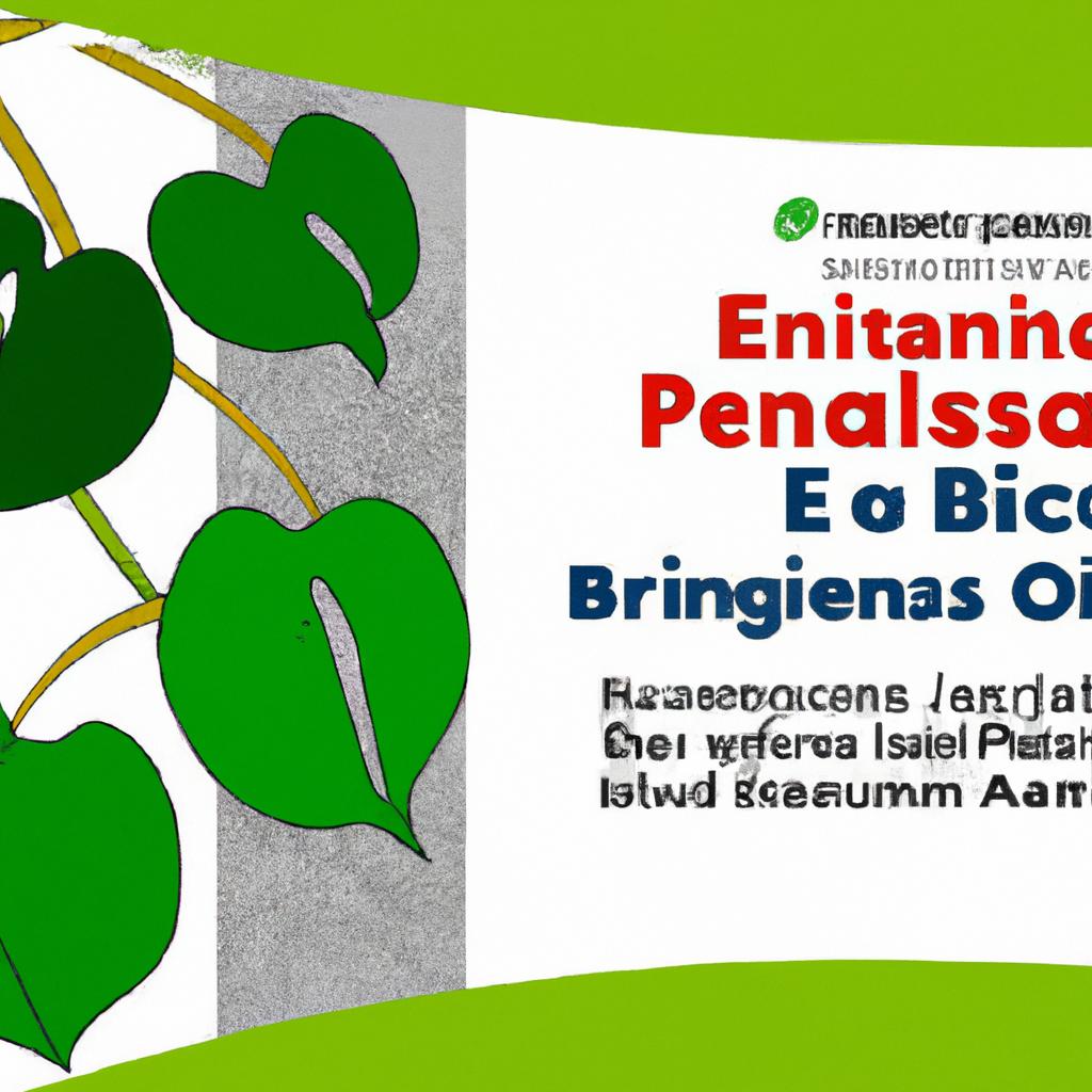 Benefícios das Plantas para a Economia Local