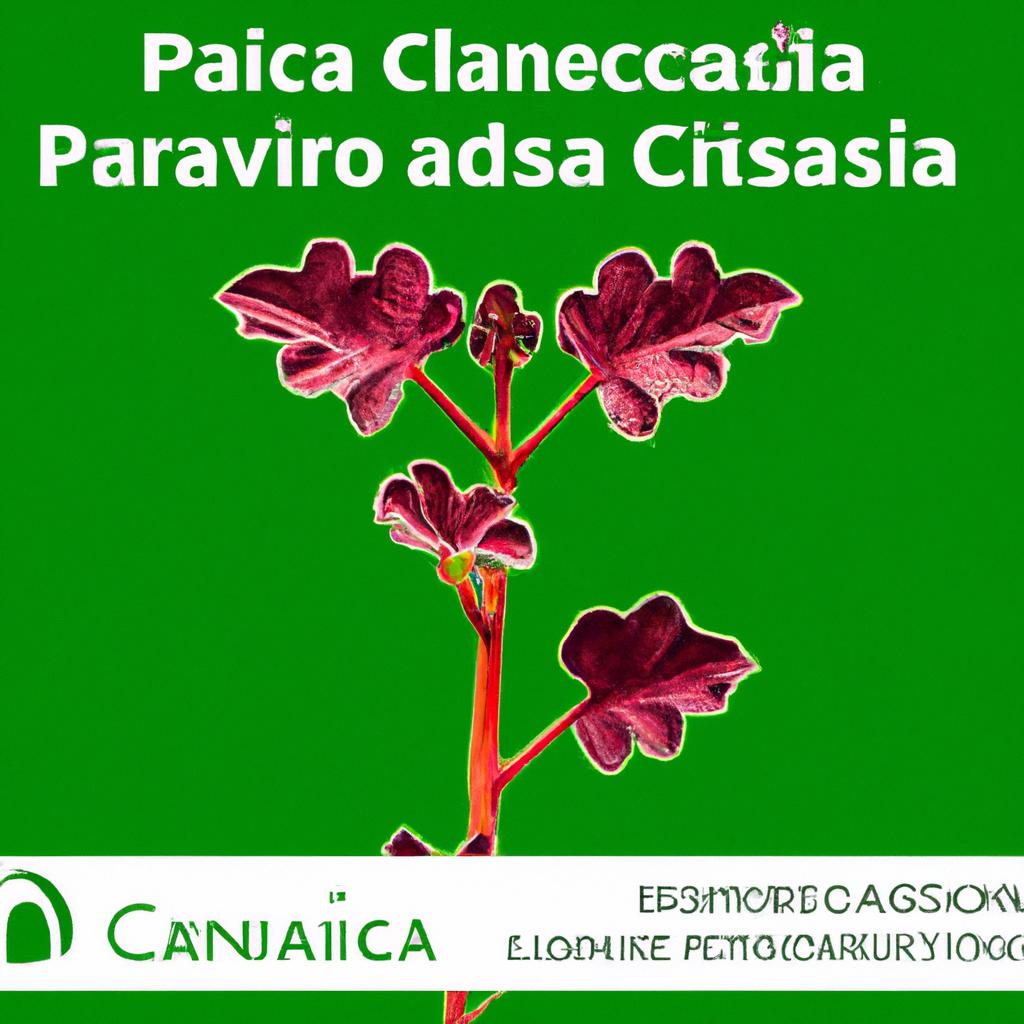 Características Chave para Identificar Plantas de Alto Potencial Econômico